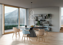 Cargar imagen en el visor de la galería, Sicla star
