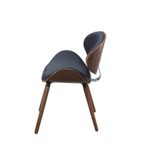 Cargar imagen en el visor de la galería, Himalaya
