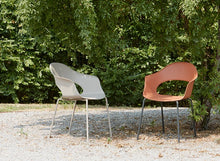 Cargar imagen en el visor de la galería, Lady B
